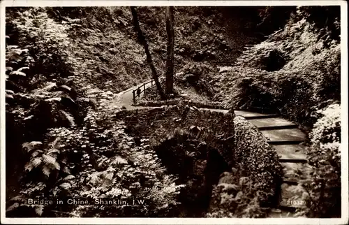 Ak Shanklin Isle of Wight England, Bridge in Chine, Park