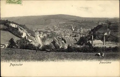 Ak Pepinster Wallonien Lüttich, Panorama, Kirchturm, Kuh