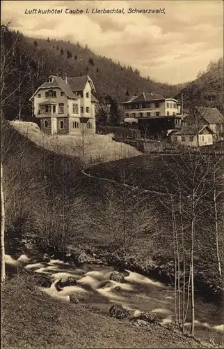 Ak Oppenau im Schwarzwald, Lierbachtal, Luftkurhotel Taube, Bach, Ortsansicht