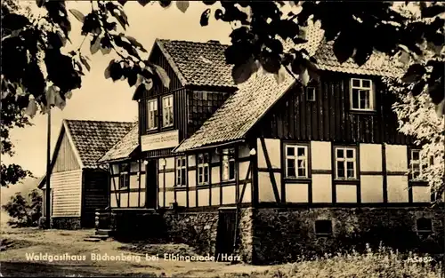 Ak Elbingerode Oberharz am Brocken, Waldgasthaus Büchenberg, Außenansicht