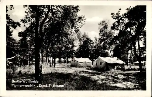 Ak Berlin Treptow  Wuhlheide, Pionierrepublik Ernst Thälmann, Zelte