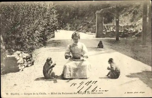 Ak Blida Algerien, Gorges de la Chiffa, Hotel du Ruisseau des Singes, Frau mit Affen