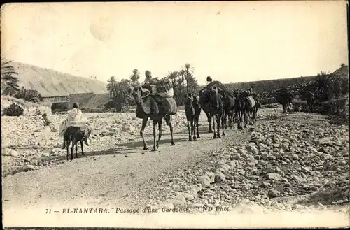 Ak El Kantara Algerien, Passage d'une Caravane, Karawane, Kamele