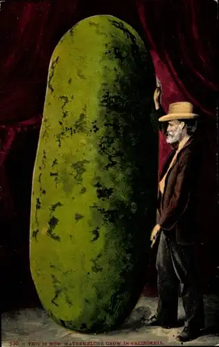 Ak Kalifornien USA, This is how watermelons grow in California, Mann mit großer Wassermelone