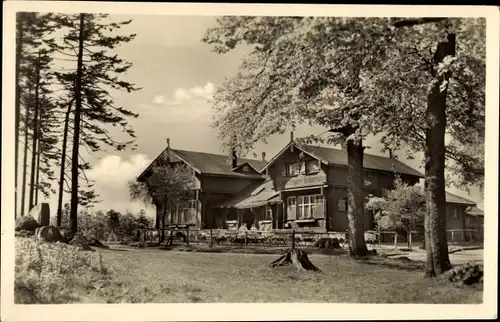 Ak Brotterode Trusetal in Thüringen, Waldschänke Dreiherrenstein, Außengastronomie