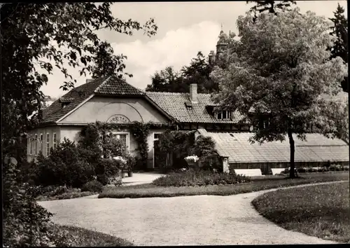Ak Lutherstadt Eisenach in Thüringen, Karthausgarten