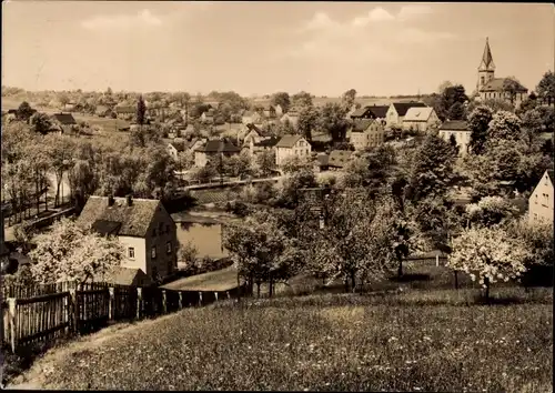 Ak Wüstenbrand Hohenstein Ernstthal Landkreis Zwickau, Panorama