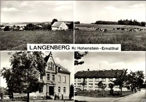 Ak Langenberg Callenberg in Sachsen, Gesamtansicht, Rathaus, Straßenpartie