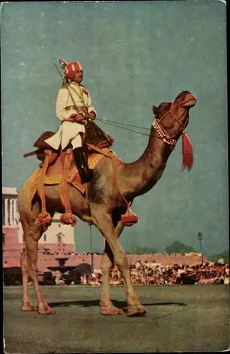 Ak Indien, Camel Ride