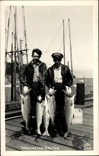 Foto Ak Washington State USA, Washington Salmon, Fischer mit Lachsen