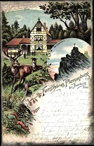 Litho Plessenburg Ilsenburg am Nordharz, Forsthaus Plessenburg, Ilsenstein, Brocken, Hirsch