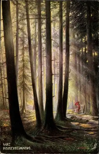 Künstler Ak Harz, Morgenstimmung im Kalten Tal, Waldpartie, Tuck 206 B