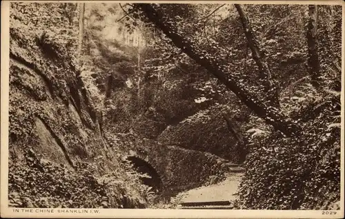 Ak Shanklin Isle of Wight England, In The Chine, Brücke, Waldweg