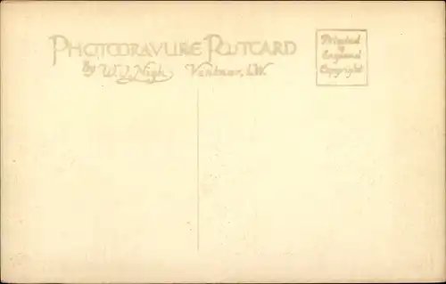 Ak Shanklin Isle of Wight England, In The Chine, Brücke, Waldweg