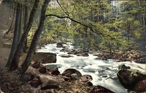 Ak Piechowice Kiesewald Riesengebirge Schlesien, An der Kochel, Frühling