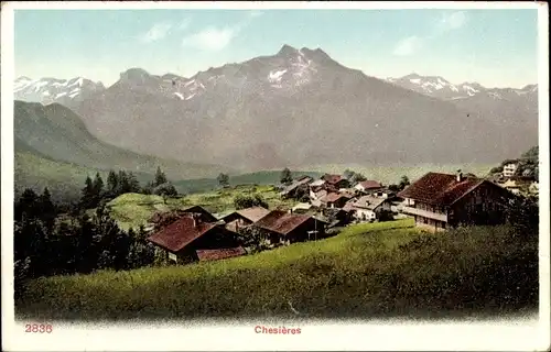 Ak Chesieres Kanton Waadt, Panorama