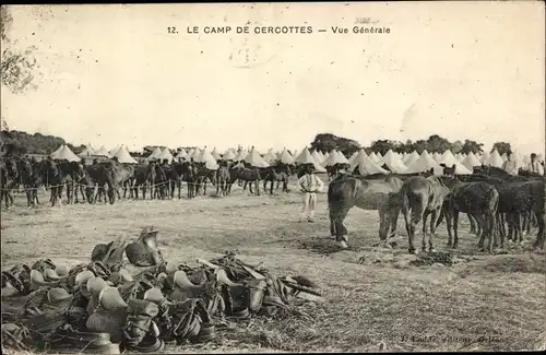 Ak Cercottes Loiret, Le Camp, Vue Generale