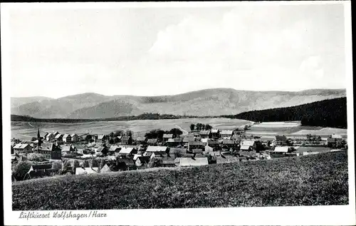 Ak Wolfshagen Langelsheim am Harz, Gesamtansicht