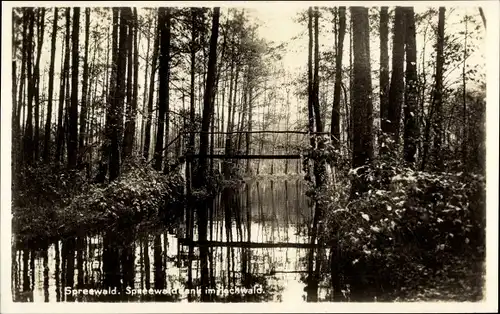 Foto Ak Spreewald, Spreewaldbank im Hochwald