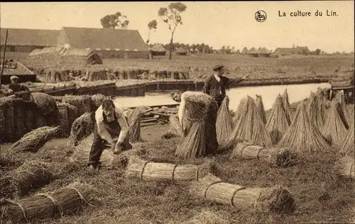 Ak La culture du Lin, Landwirtschaft, Flachsernte, on forme les bottes avant le rouissage