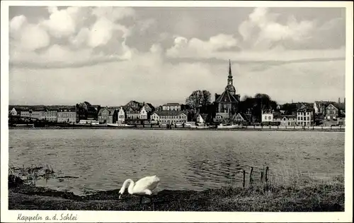 Ak Kappeln an der Schlei, Stadt, Schwan am Ufer