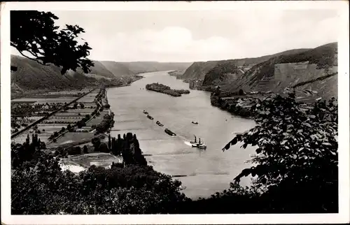 Ak Andernach am Rhein, Blick rheinabwärts