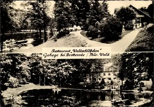 Ak Brotterode Trusetal in Thüringen, Restaurant Waldschlößchen