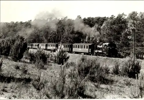 Ak Insel Rügen, Schmalspurbahn Rasender Roland, Personenzug zwischen Garftitz und Sellin