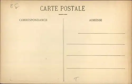 Ak Campagne 1915 1917, Royaume du Cafard, Extreme Sud Tunisien, Käfer, Kamele