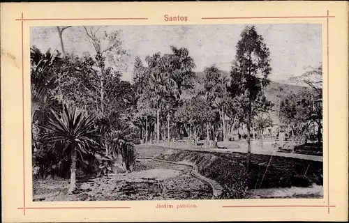 Foto Santos Brasilien, Landschaft, Bäume, Palme