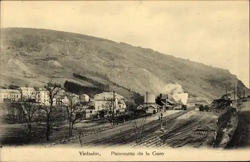 Ak Vielsalm Wallonien Luxemburg, Panorama de la Gare