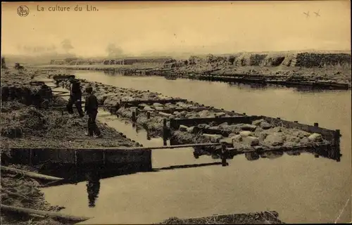 Ak La culture du Lin, Le rouissage