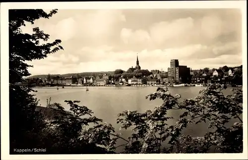 Ak Kappeln an der Schlei, Blick auf den Ort