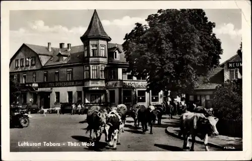 Ak Tabarz im Thüringer Wald, Kurhotel Deutscher Hof, Viehtrieb