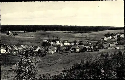 Ak Buntenbock Clausthal Zellerfeld Oberharz, Panorama vom Ort