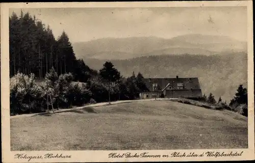 Ak Hohegeiß Braunlage im Oberharz, Hotel Dicke Tannen m. Blick über das Wolfsbachtal