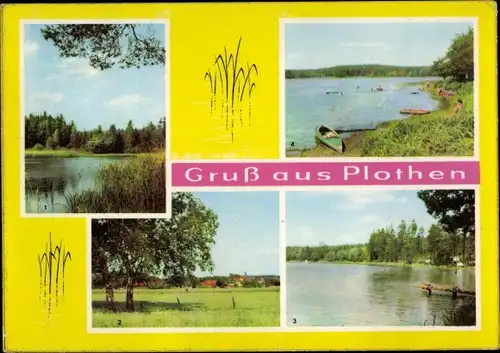 Ak Plothen in Thüringen, Mittelteich, Fürstenteich