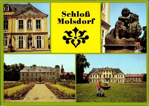 Ak Molsdorf Erfurt in Thüringen, Schloß, Museen der Stadt Erfurt, Park und Schloß Molsdorf