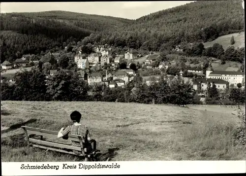 Ak Schmiedeberg Dippoldiswalde im Erzgebirge, Gesamtansicht