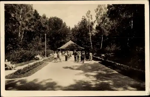 Ak Konstantinovy Lázne Konstantinsbad Region Pilsen, Prameny