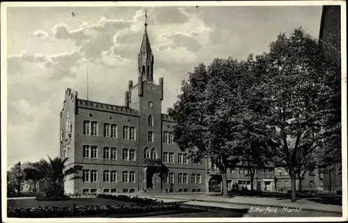 Ak Bitterfeld in Sachsen Anhalt, Markt, Rathaus
