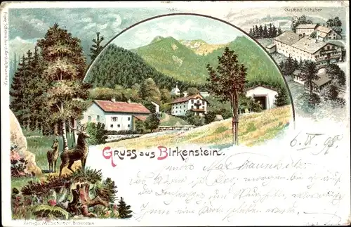 Litho Birkenstein Fischbachau in Oberbayern, Gasthof Schober, Hirsch im Wald, Teilansicht