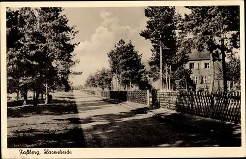 Ak Faßberg Lüneburger Heide, Hasenheide