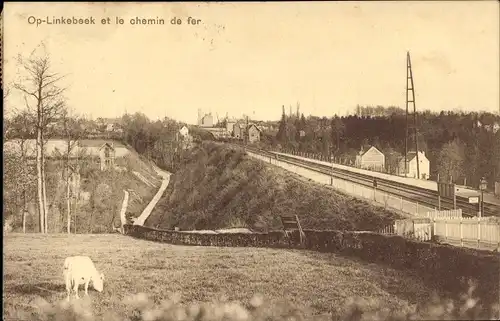 Ak Linkebeek Flämisch Brabant, Le chemin de fer, Kuh