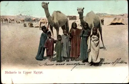 Ak Ägypten, Bicharis in upper Egypt, Nomaden, Kamele