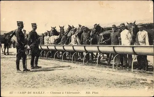 Ak Mailly le Camp Aube, Camp de Mailly, Chevaux a l'Abreuvoir, Pferde