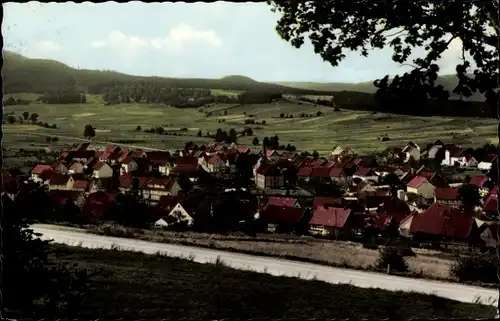 Ak Wolfshagen Langelsheim am Harz, Totale
