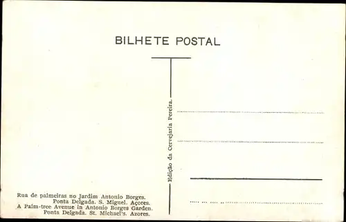 Ak Ponta Delgada São Miguel Azoren Portugal, Rua de palmedras no Jardim Antonio Borges
