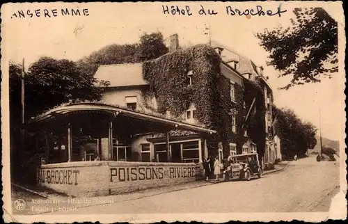 Ak Anseremme Dinant Wallonien Namur, Hôtel au Brochet