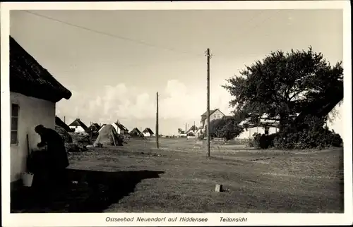 Ak Neuendorf auf der Insel Hiddensee, Teilansicht